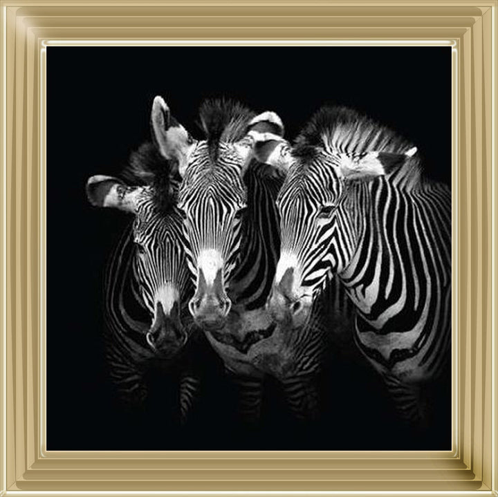 WDC98073 Zebra Triptych