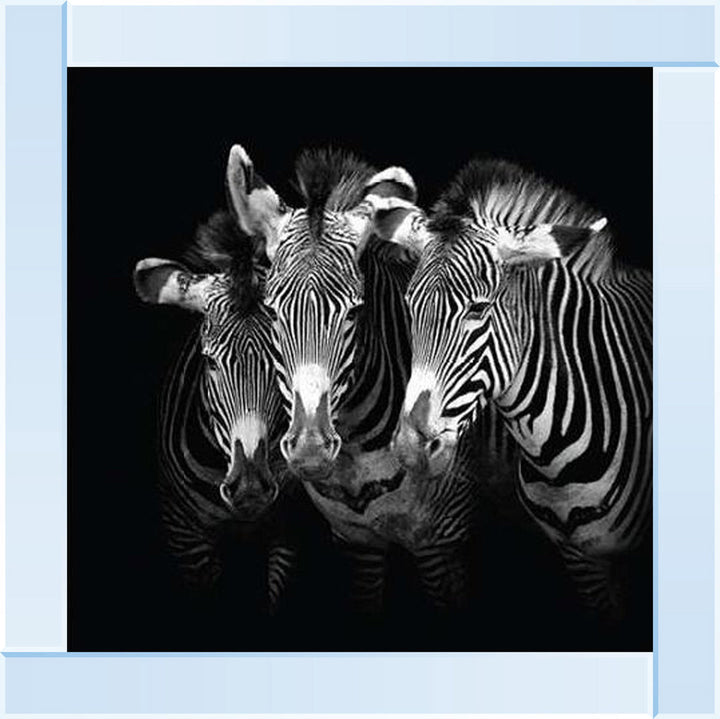 WDC98073 Zebra Triptych