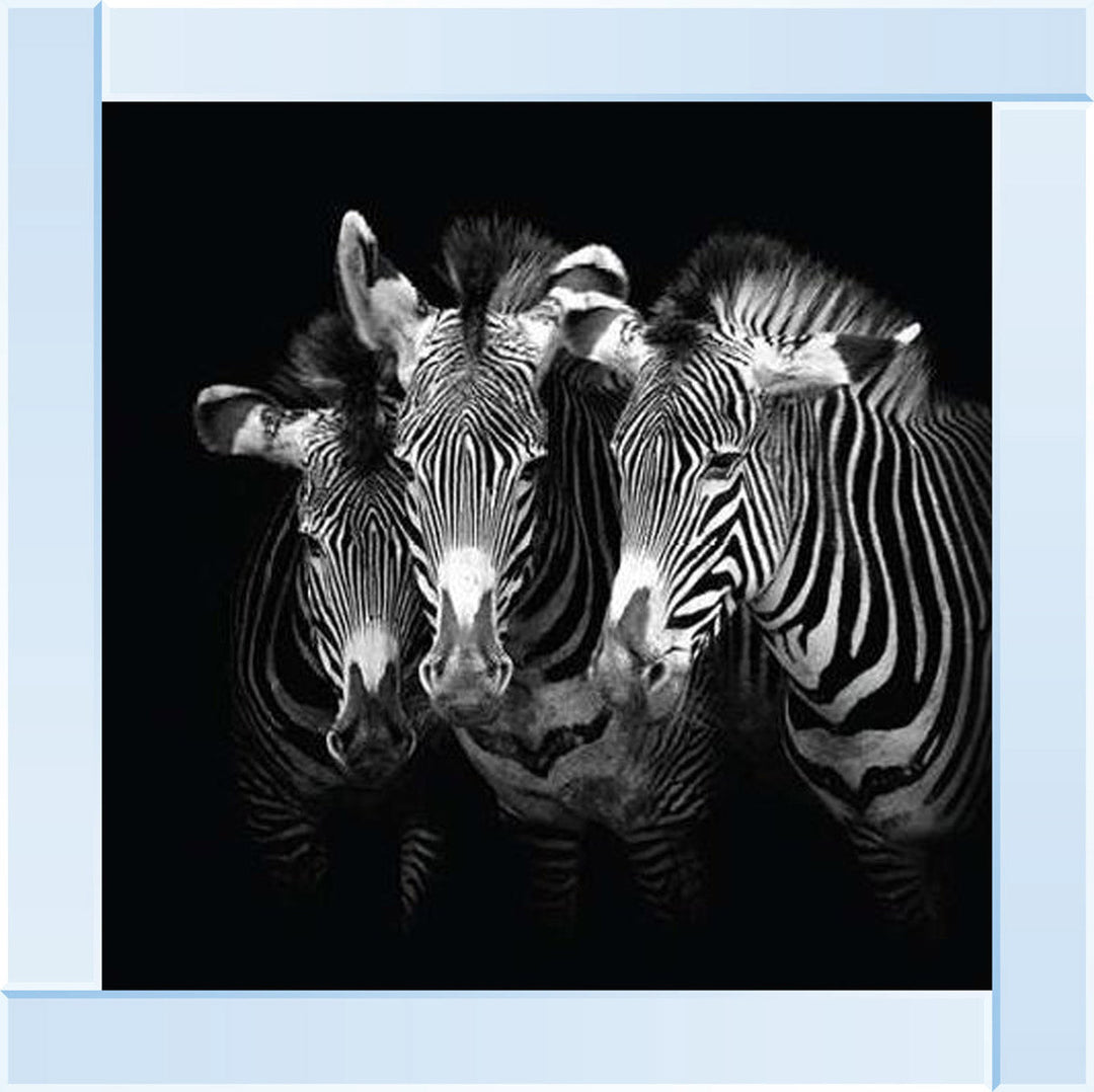 WDC98073 Zebra Triptych