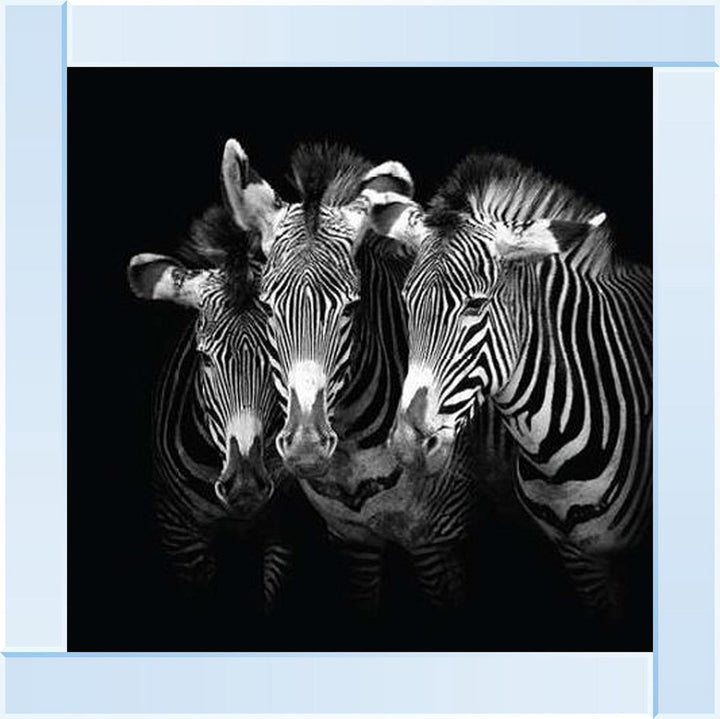 WDC98073 Zebra Triptych