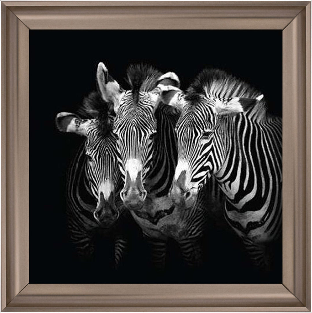 WDC98073 Zebra Triptych