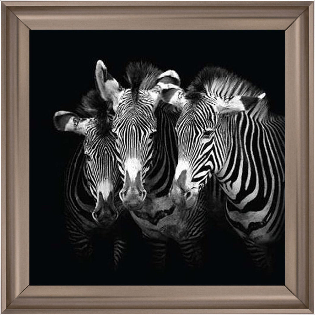 WDC98073 Zebra Triptych