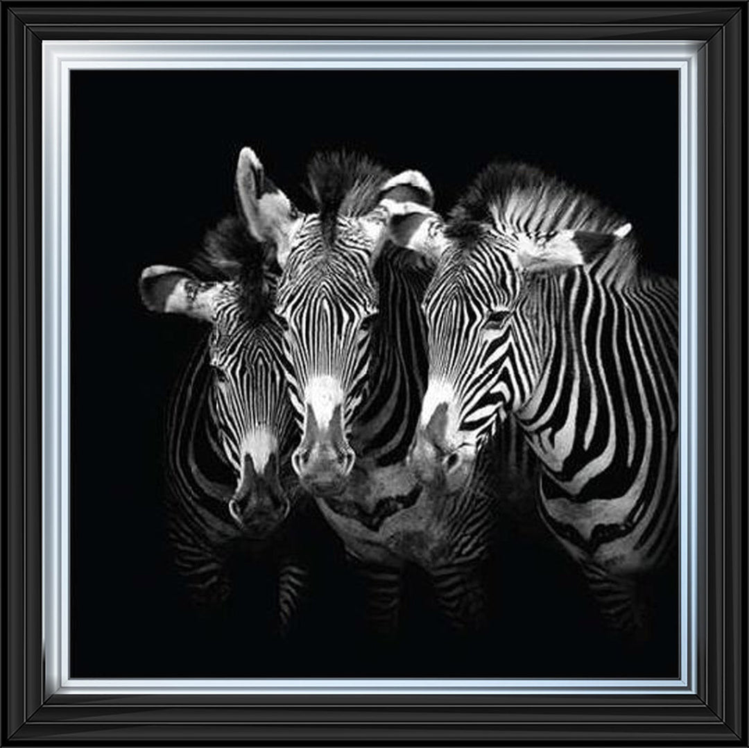 WDC98073 Zebra Triptych