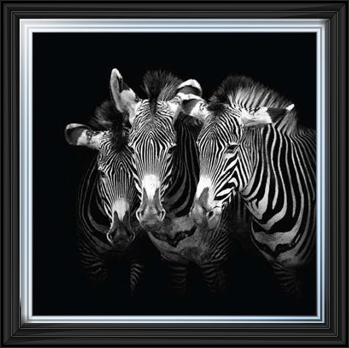 WDC98073 Zebra Triptych