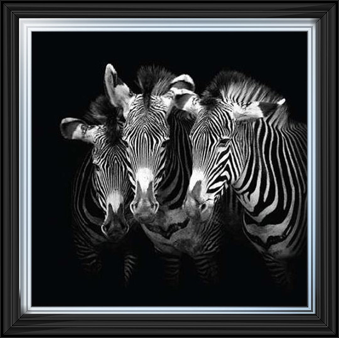WDC98073 Zebra Triptych