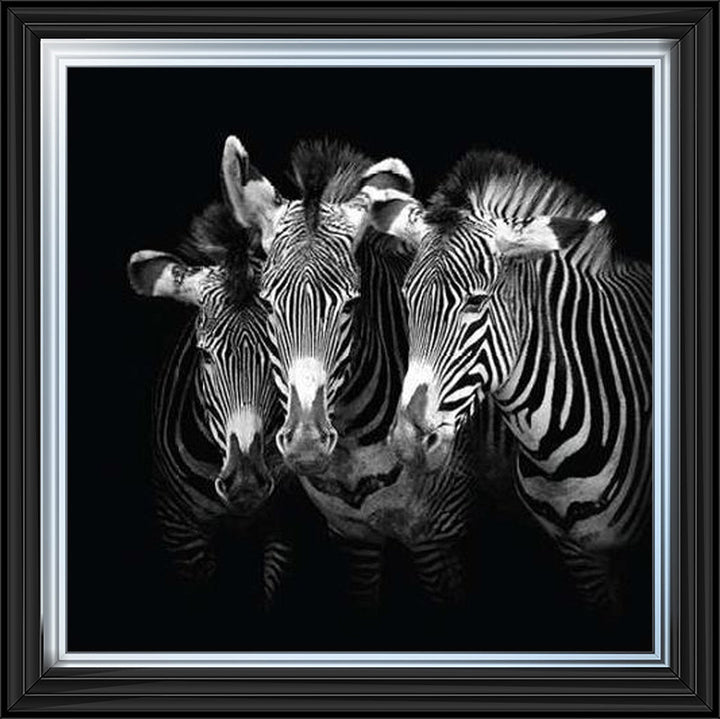 WDC98073 Zebra Triptych
