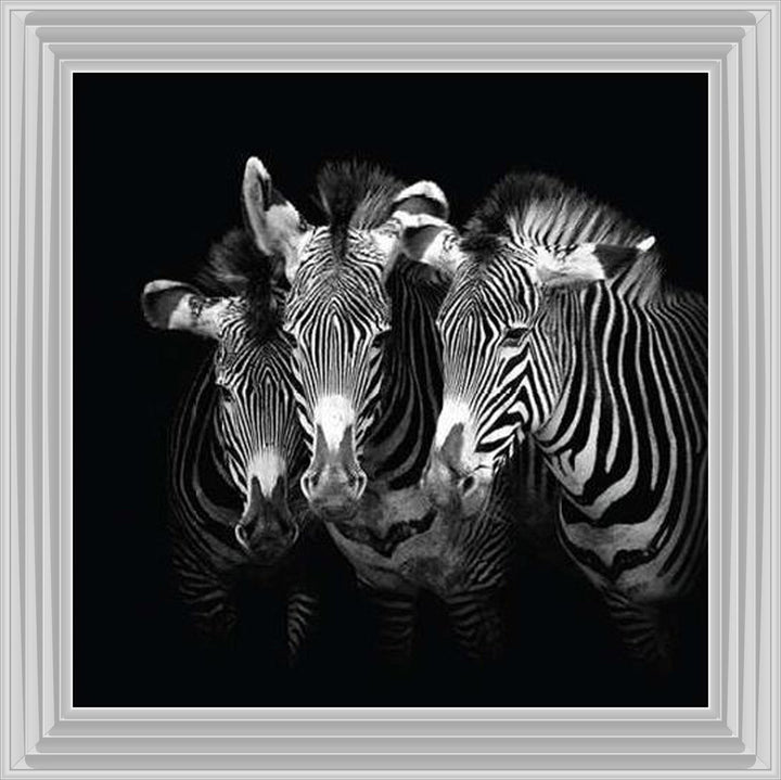 WDC98073 Zebra Triptych