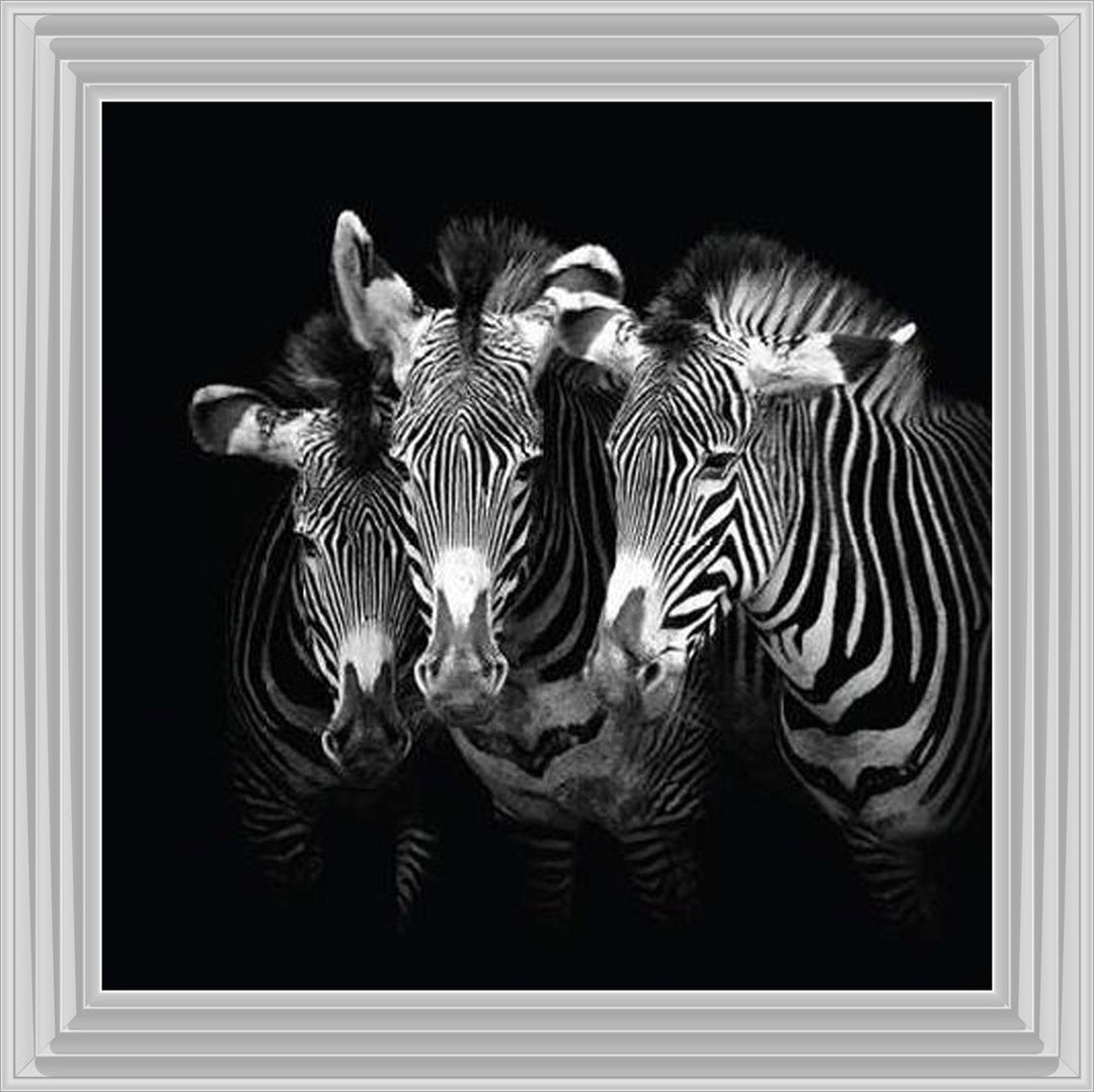 WDC98073 Zebra Triptych