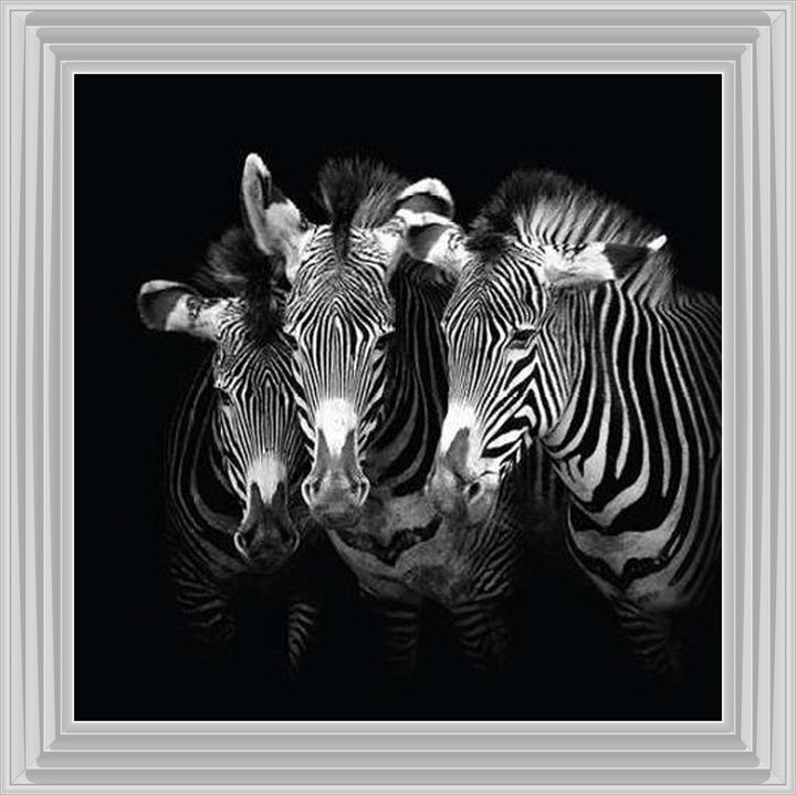 WDC98073 Zebra Triptych