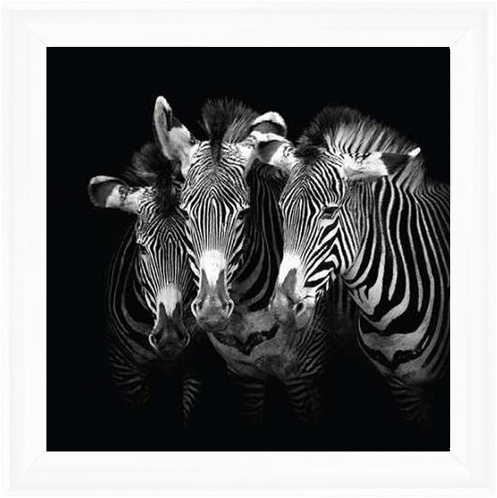 WDC98073 Zebra Triptych