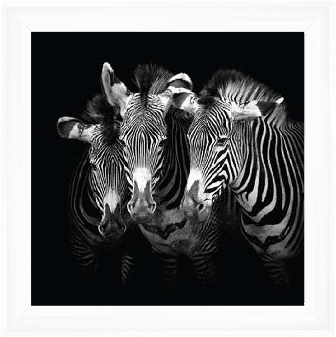 WDC98073 Zebra Triptych