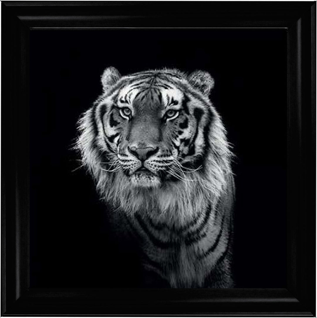 WDC98249 Tiger close up