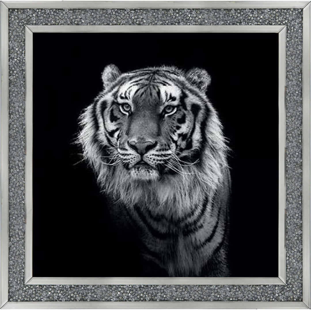 WDC98249 Tiger close up