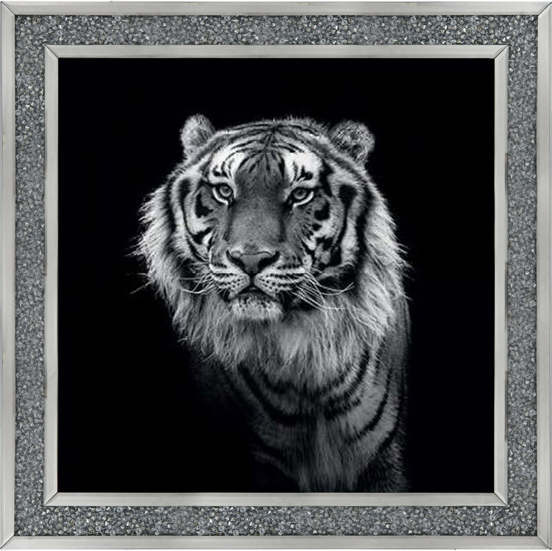 WDC98249 Tiger close up