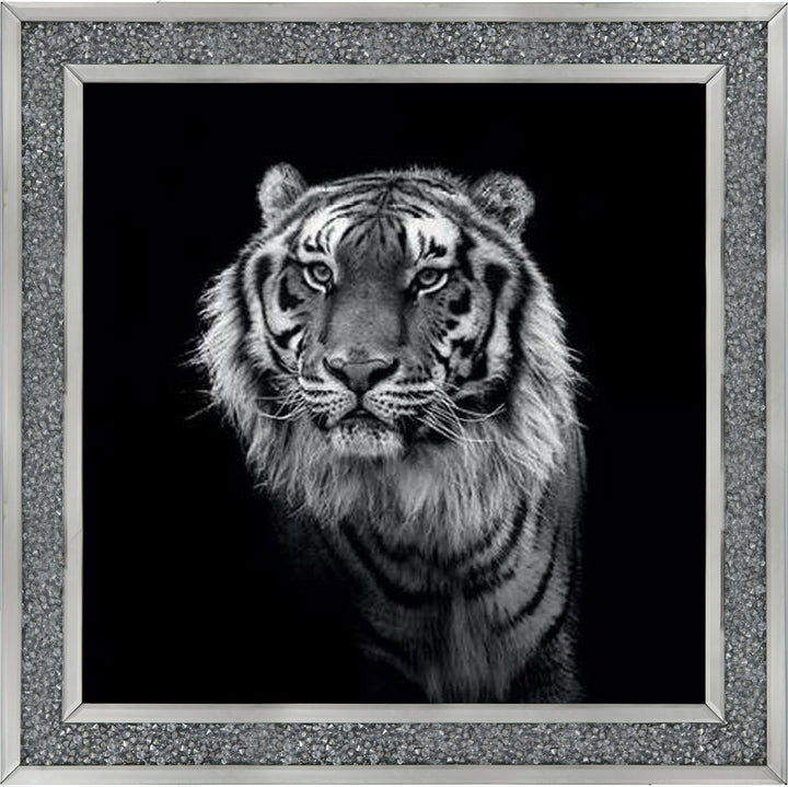 WDC98249 Tiger close up
