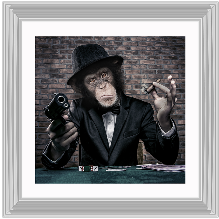 AN178  Gangster Chimp