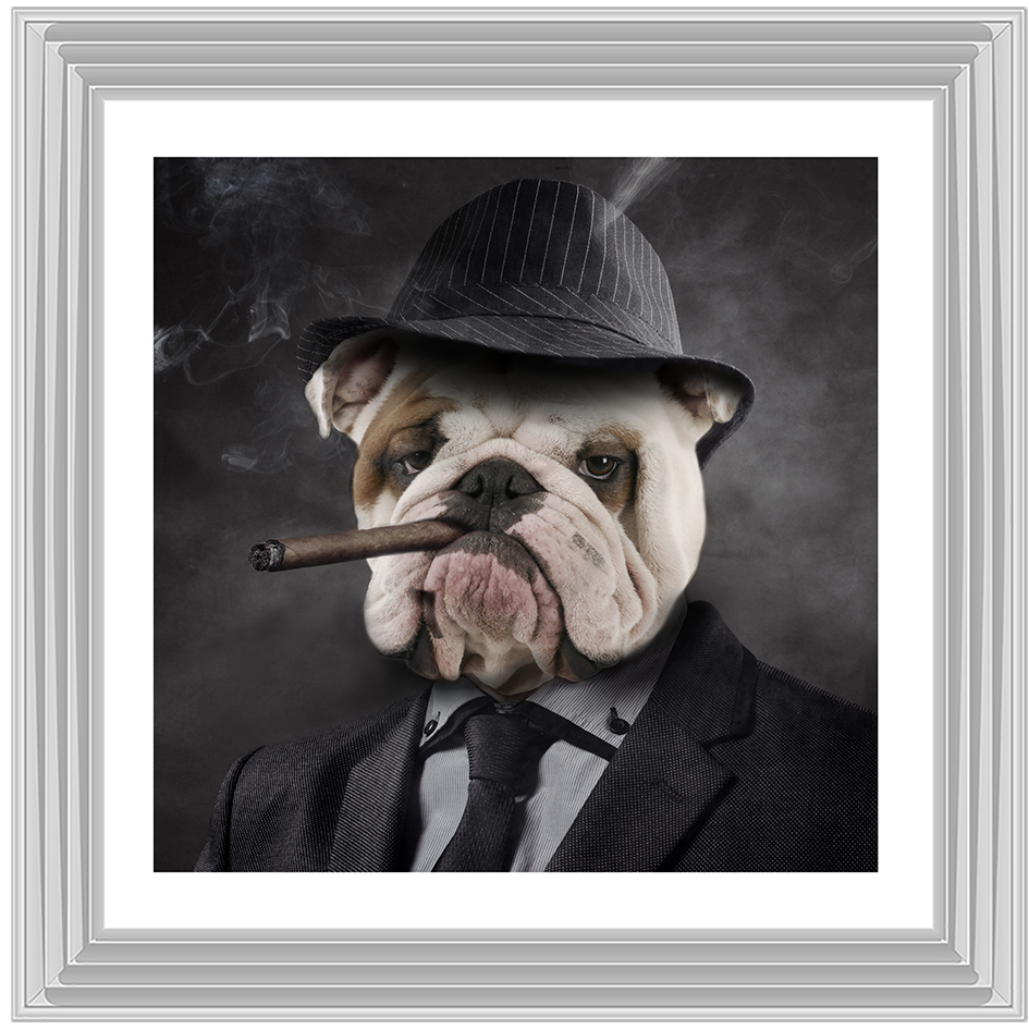 AN183 Gangster Bulldog (border)