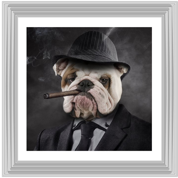 AN183 Gangster Bulldog (border)