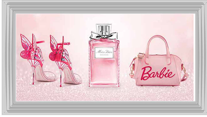 FS880 Barbie ll