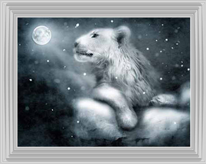 AN761 Lion On Rock Night