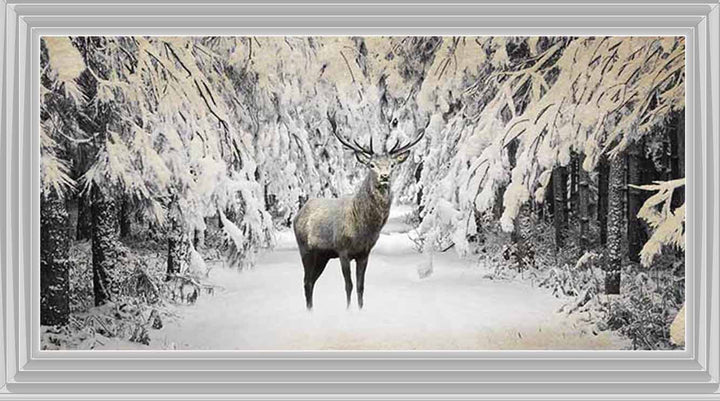AN770 Dear on winter snow lll