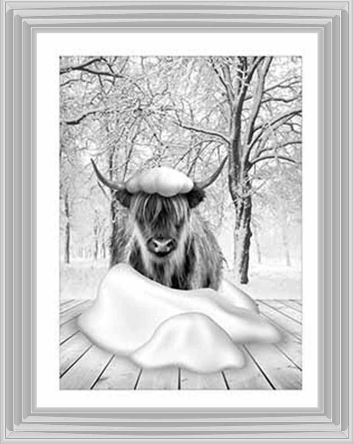 AN750-B&W Highland cow on Winter Snow l