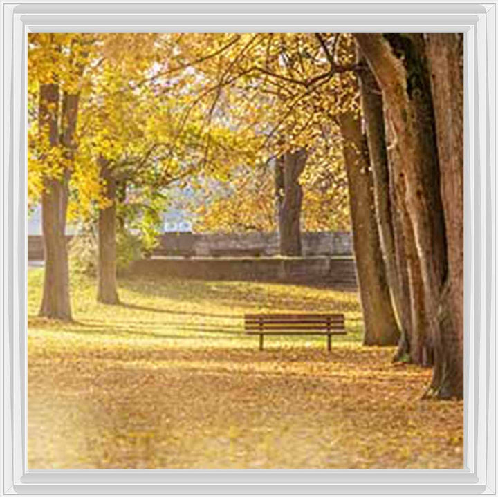 LS352 AUTUMN PARK YELLOW TREE