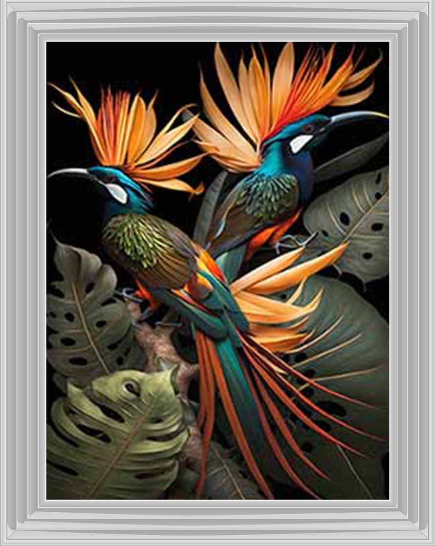 AN1053 Birds From Paradise ||