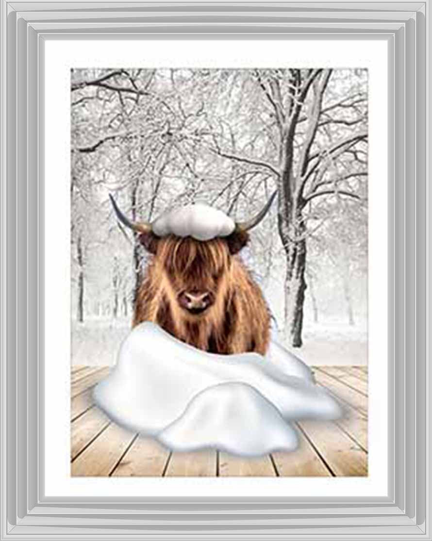 AN750-C Highland cow on Winter Snow ll