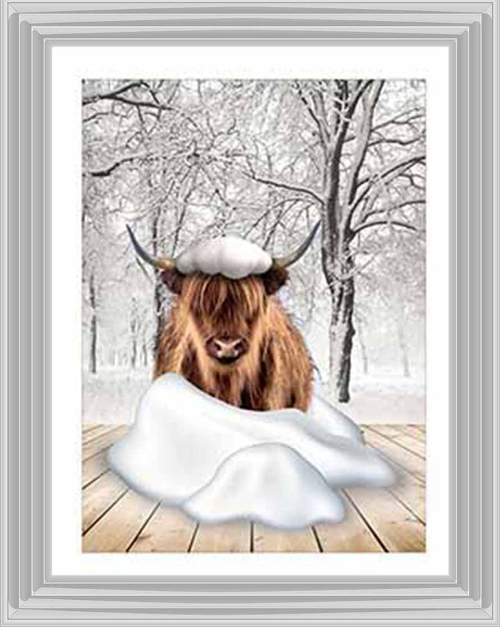 AN750-C Highland cow on Winter Snow ll