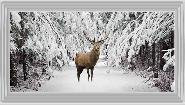 AN756 Stag in the Winter Snow