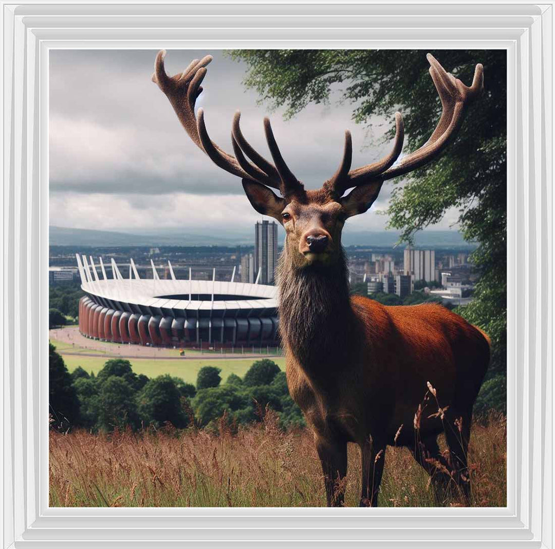 AN1108 STAG AT STADIUM