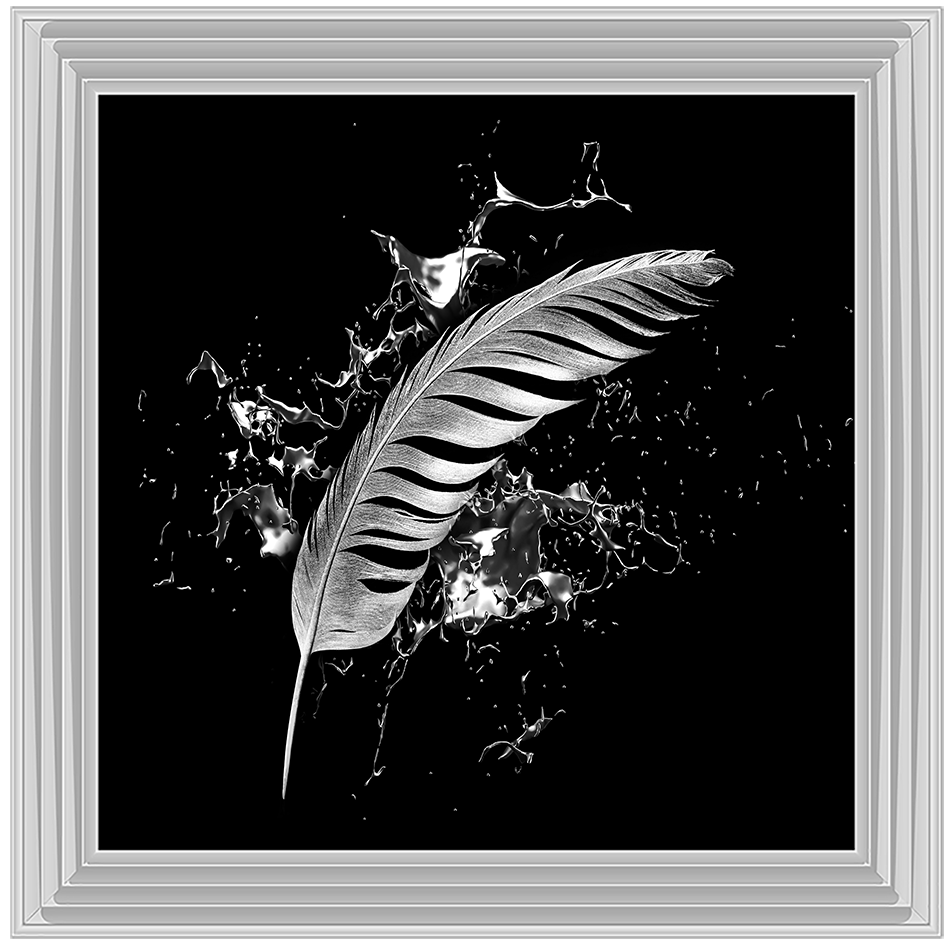 Silver Feather