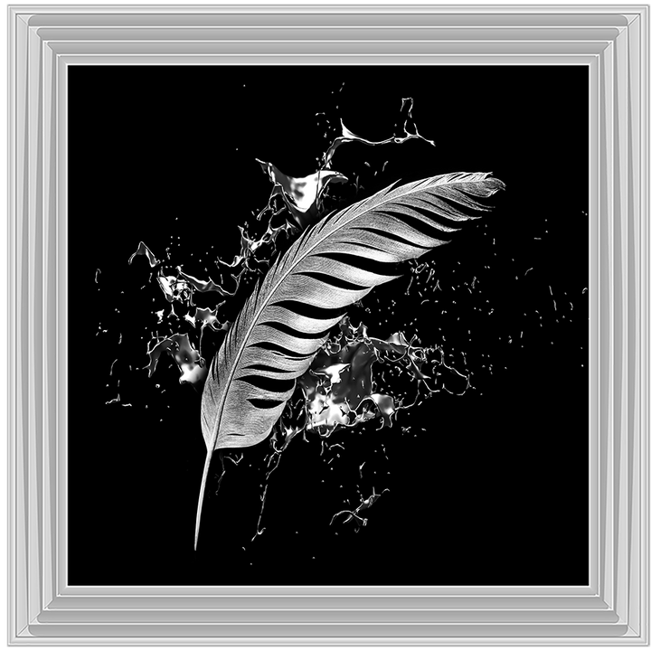 Silver Feather