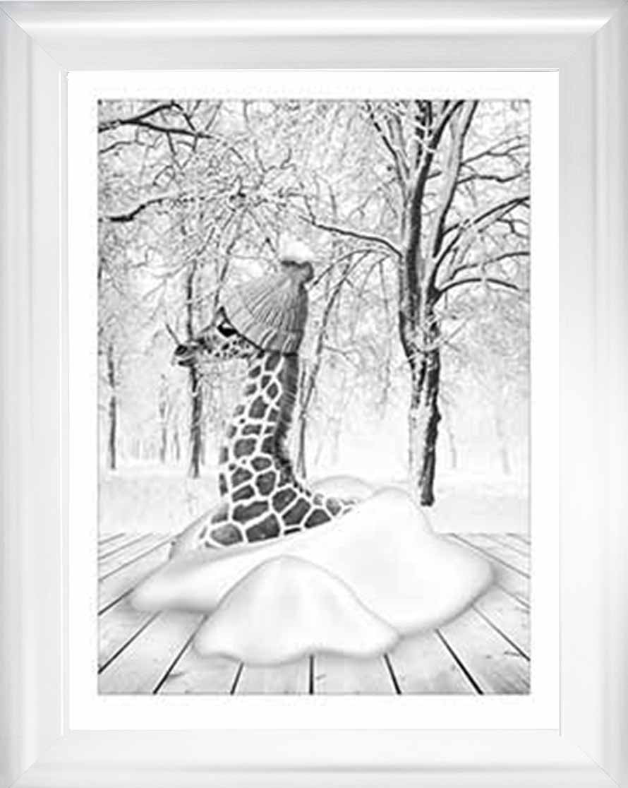 AN752-B&W Giraffe on Winter Snow l
