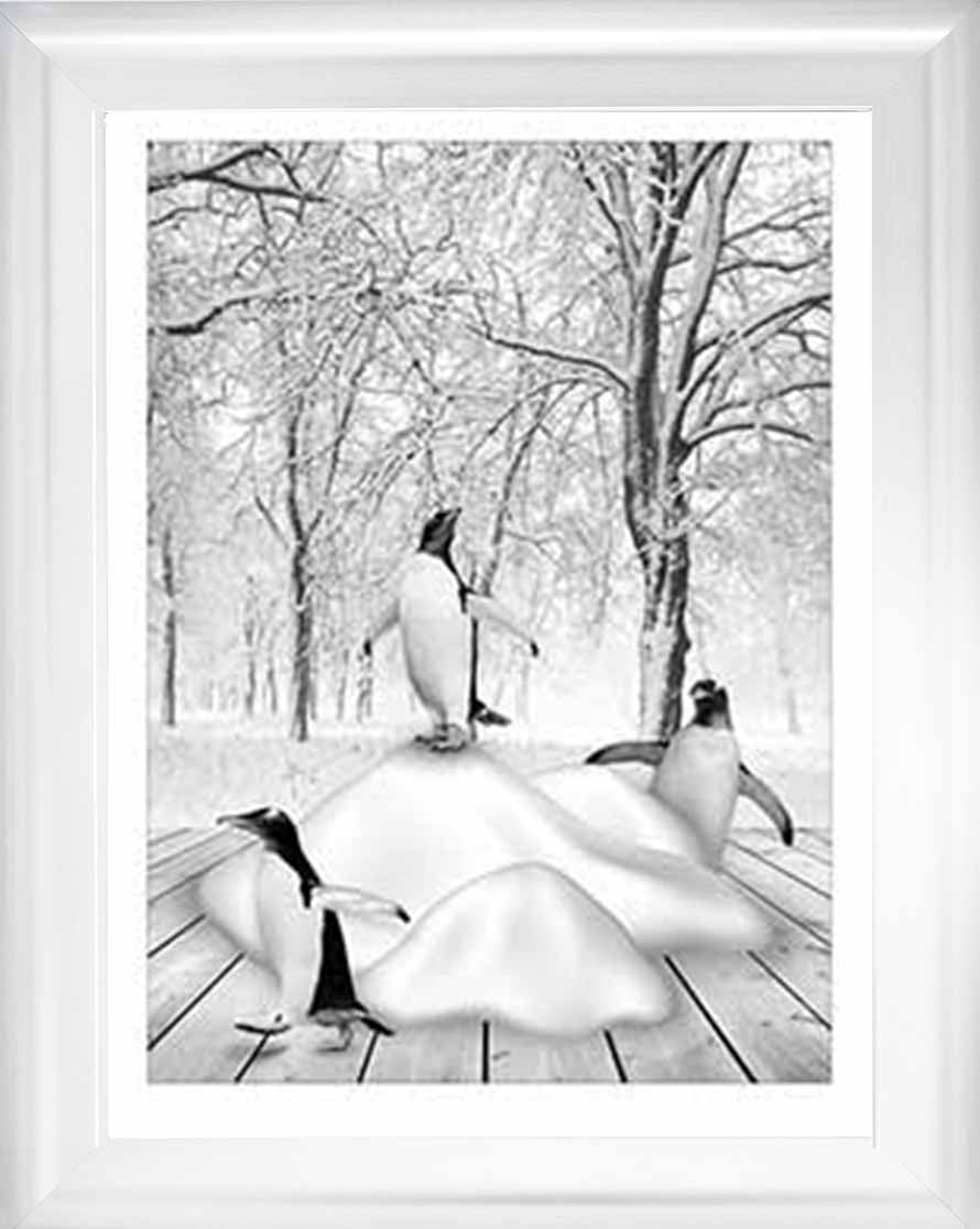 AN746-B&W Pandas on Winter Snow l