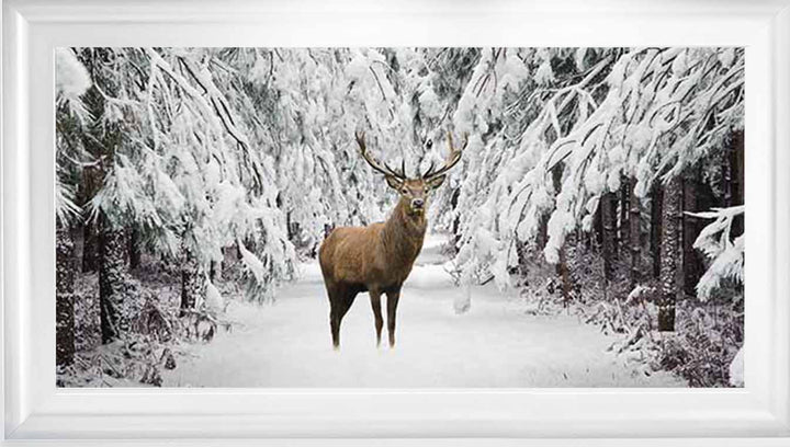AN756 Stag in the Winter Snow
