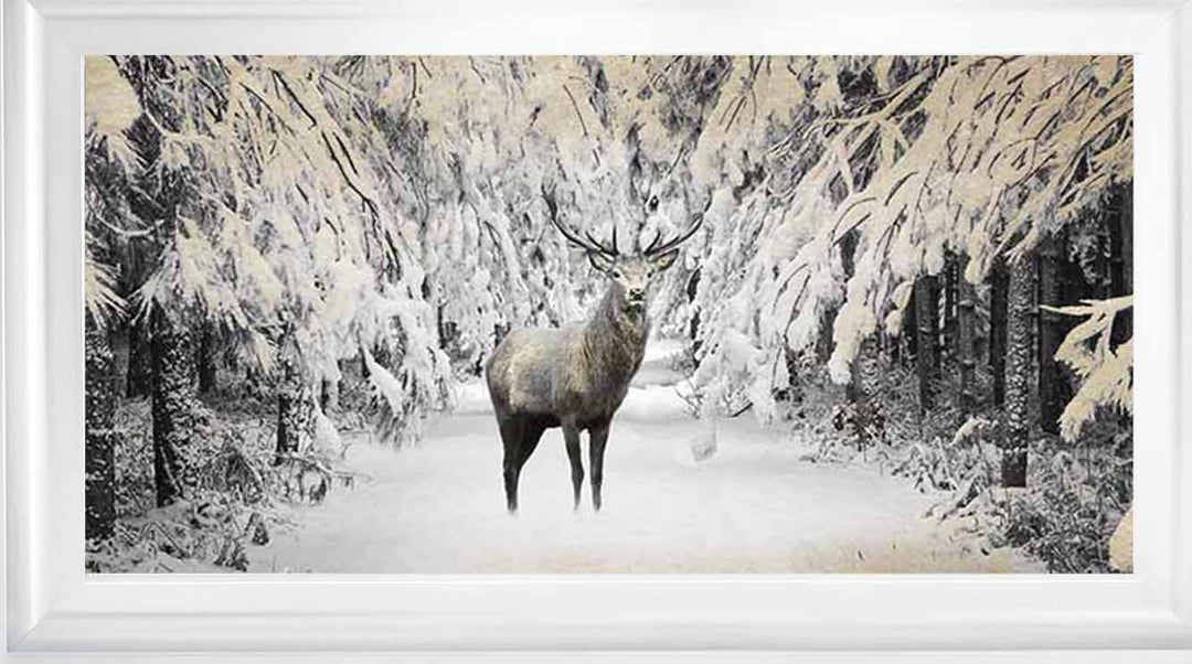 AN770 Dear on winter snow lll