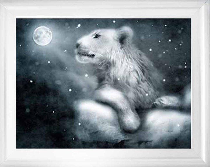 AN761 Lion On Rock Night