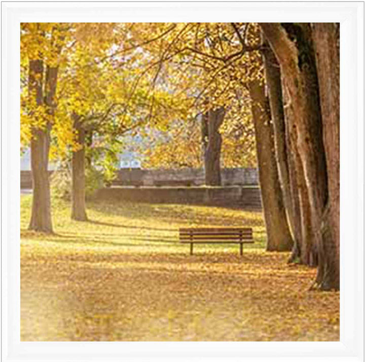 LS352 AUTUMN PARK YELLOW TREE
