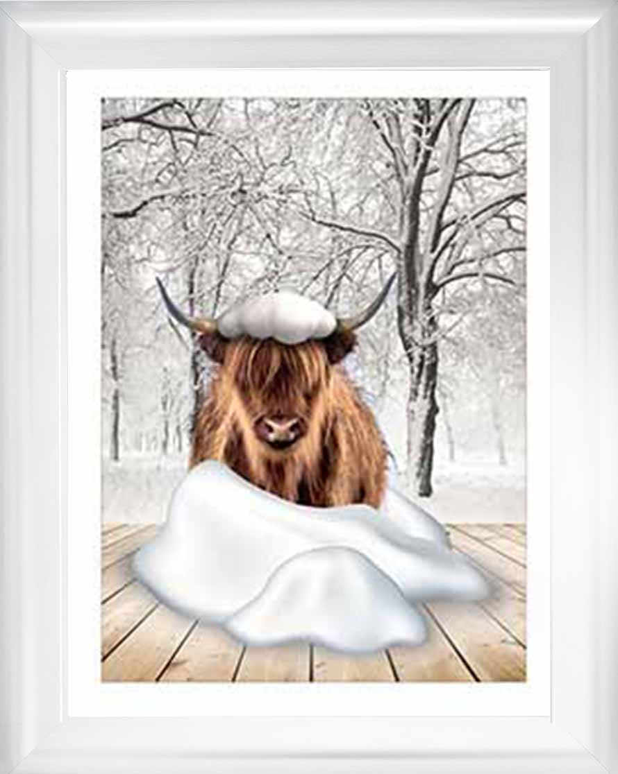 AN750-C Highland cow on Winter Snow ll