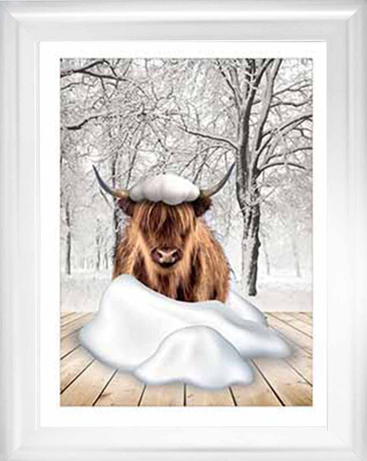 AN750-C Highland cow on Winter Snow ll