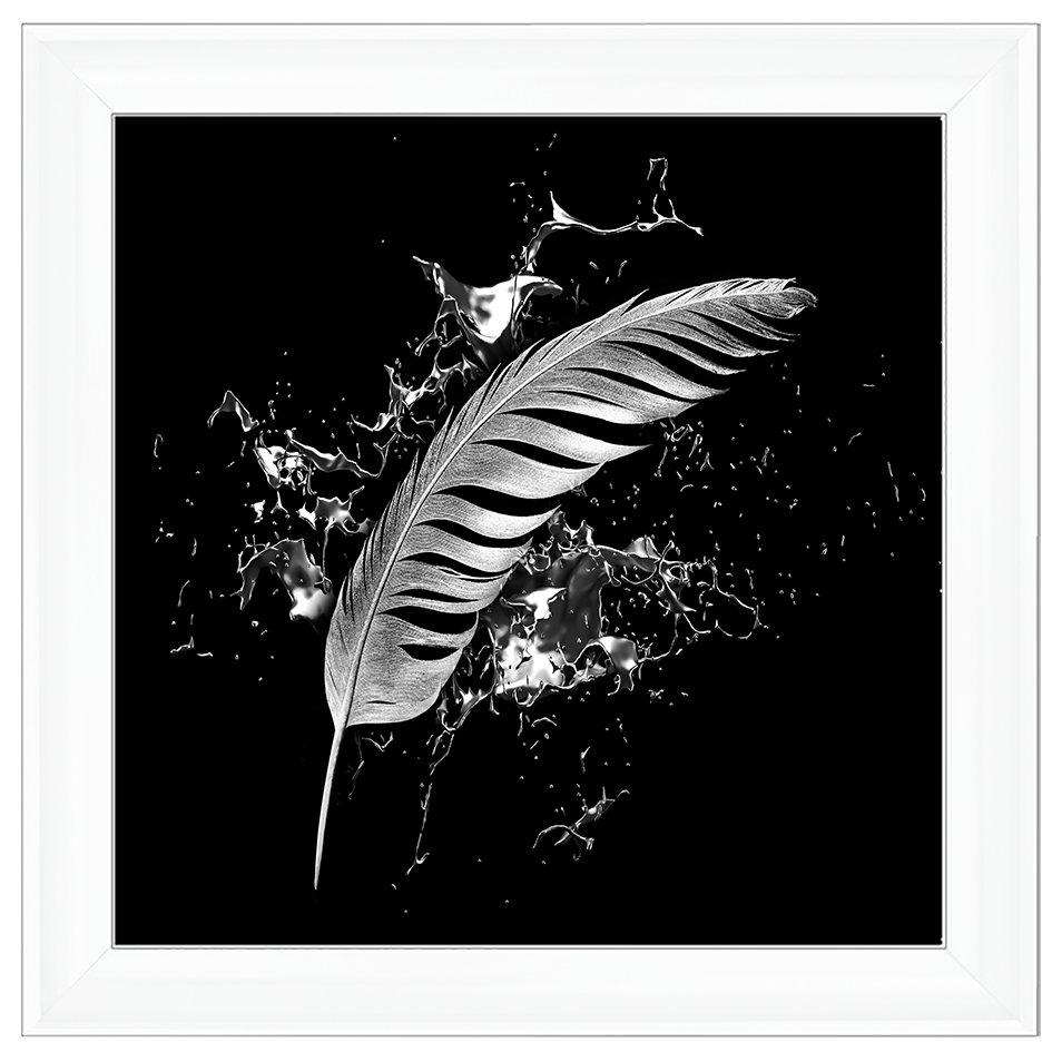 Silver Feather