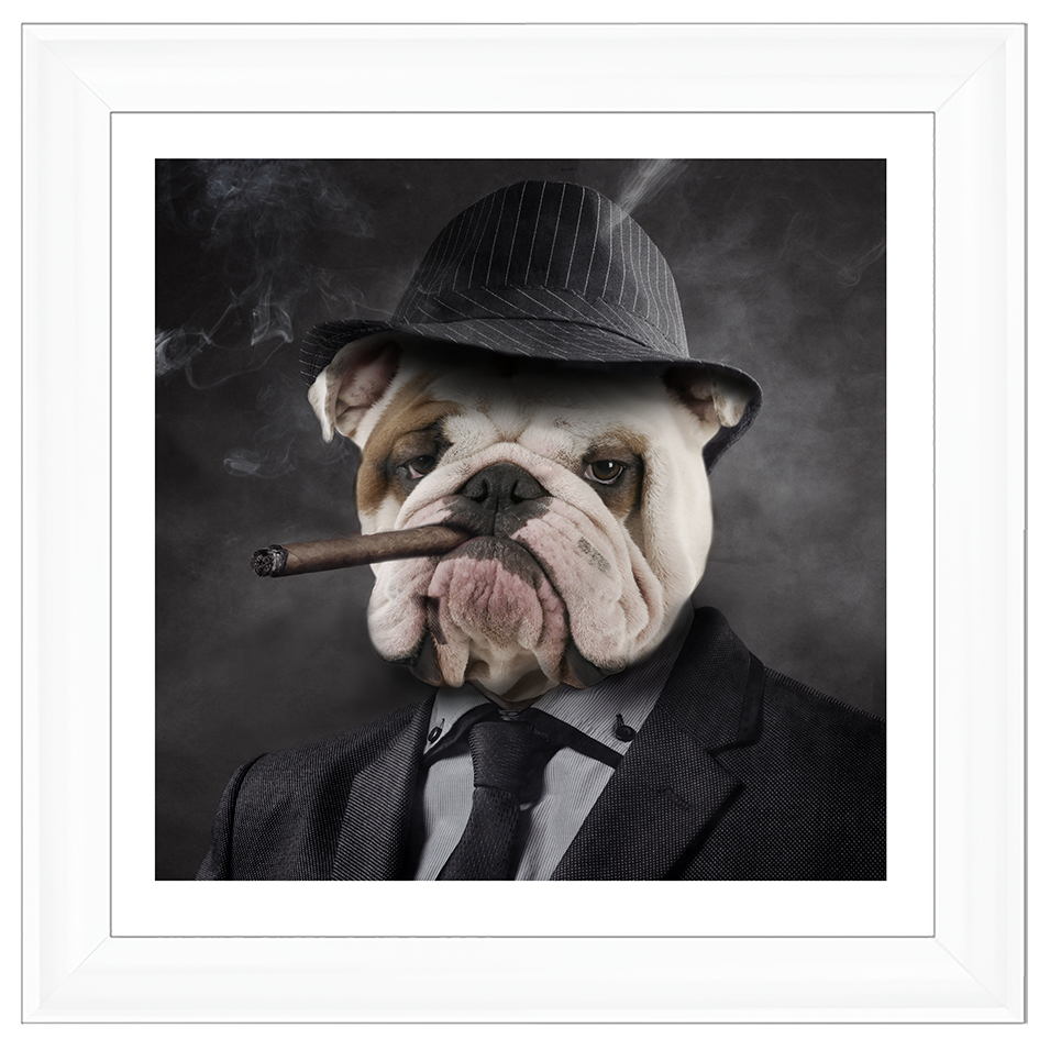 AN183 Gangster Bulldog (border)