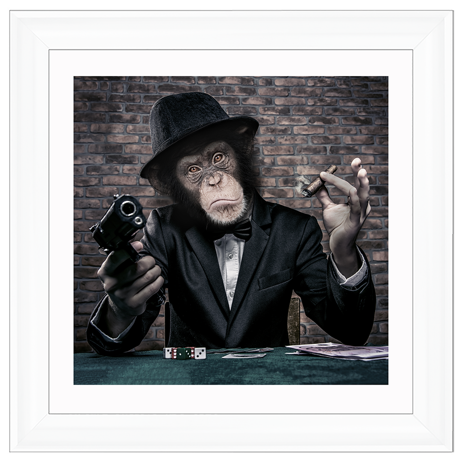 AN178  Gangster Chimp