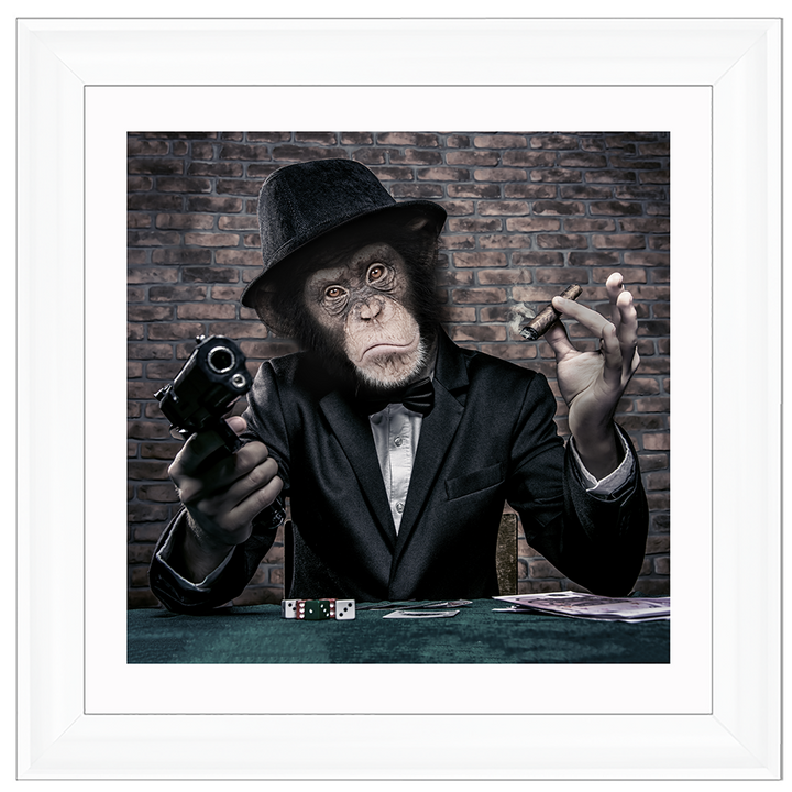 AN178  Gangster Chimp