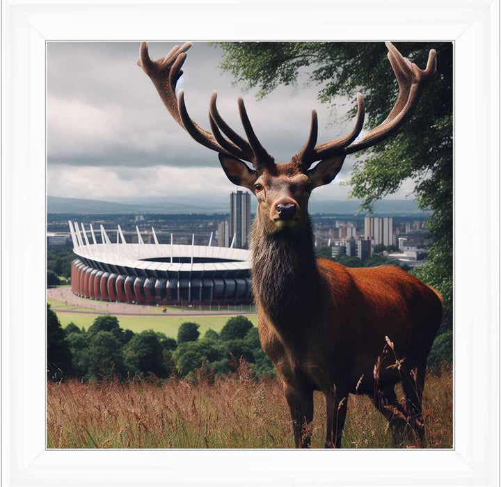 AN1108 STAG AT STADIUM