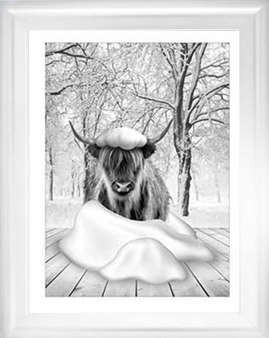 AN750-B&W Highland cow on Winter Snow l
