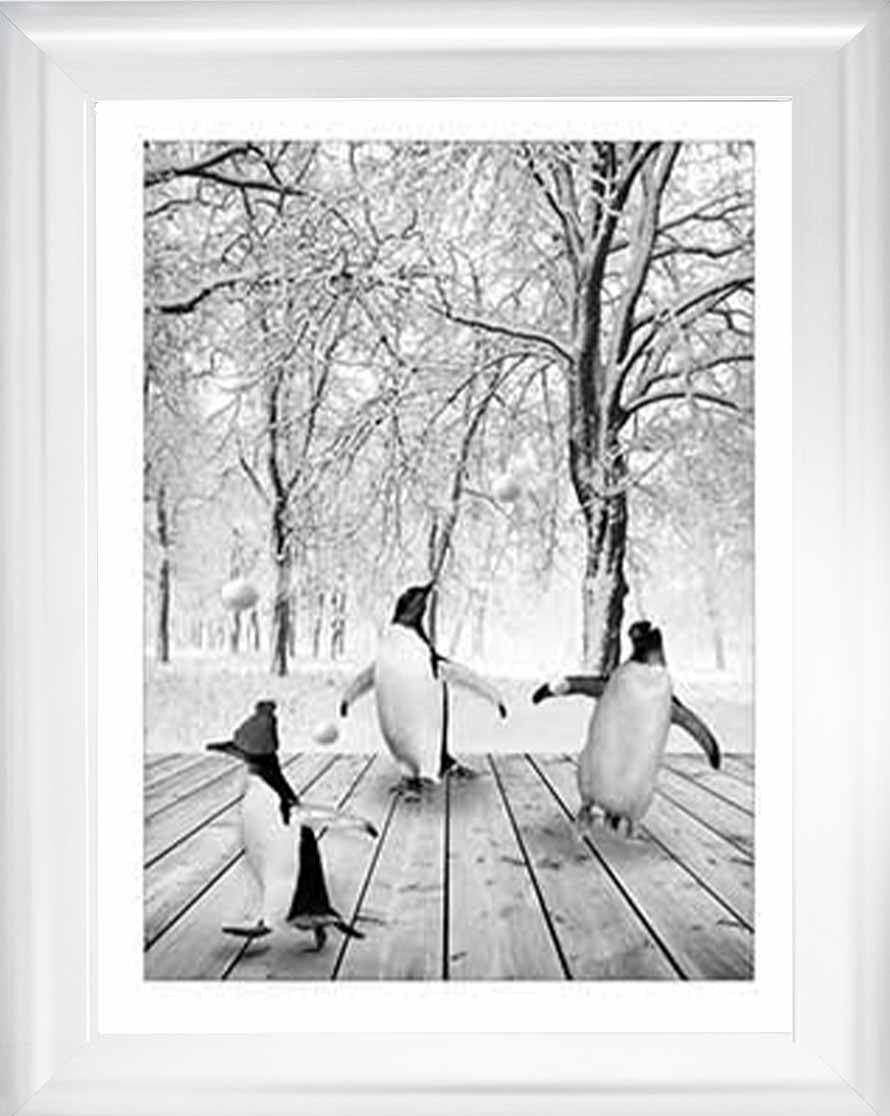 AN747-B&W Pandas Winter ll