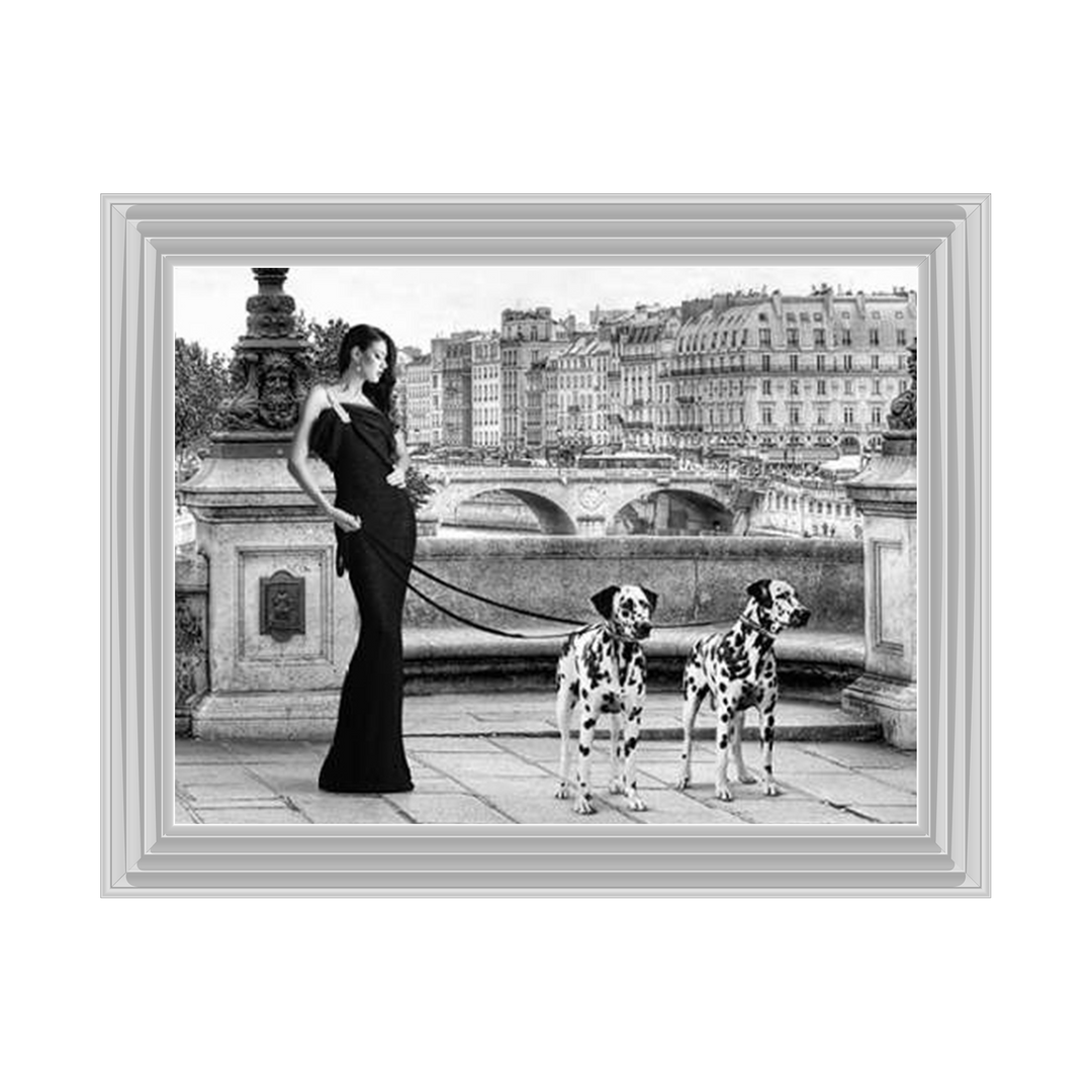 FG016 Dalmatians